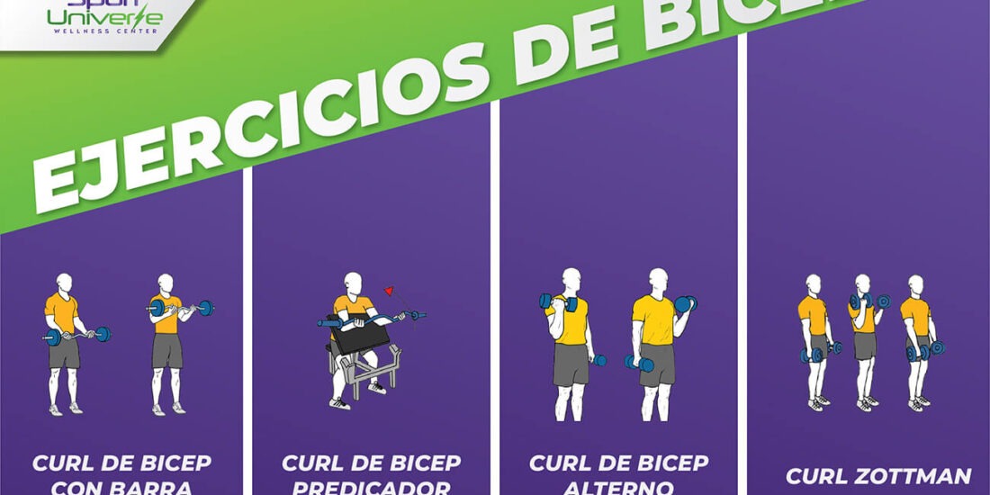 Ejercicio de Bicep - Gimnasio Sport Universe