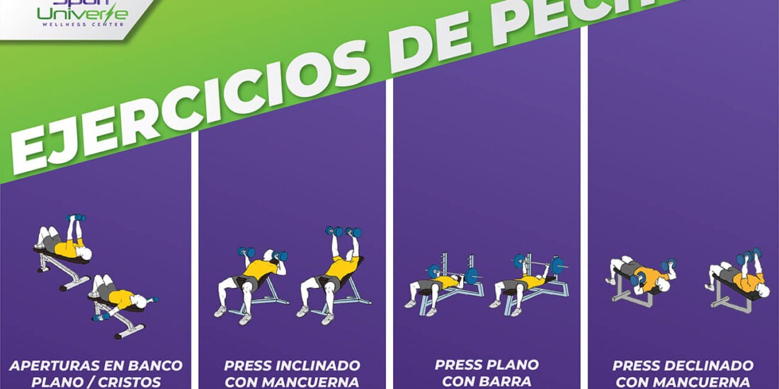 Ejercicio de Pecho - Gimnasio Sport Universe